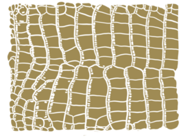 patrón de cocodrilo dorado png