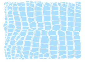 blauw aligator patroon png