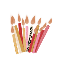 velas de cumpleaños con estampado animal png