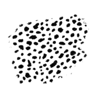 dalmata modello sfondo png