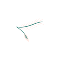 Elegant Leaf Ornament png