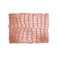 Rosegold Metallic Aligator Pattern png