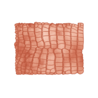 Copper Metallic Aligator Pattern png