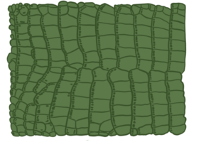 grön aligator mönster png