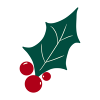 stechpalmenbeere weihnachten png