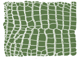 groen aligator patroon png