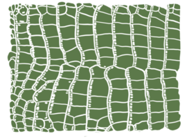 verde aligator modello png