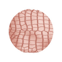 Rosegold Aligator Pattern Circle Background png