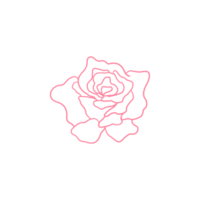 Pink Rose Outlined png