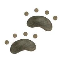 Watercolor footprints of animals, footprints in the forest, paw prints vector