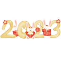 Rabbit Chinese New Year Watercolor Illustration png