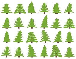 Set of twenty four green pines on a white background. Vector illustration