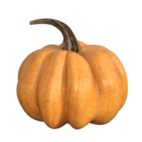 fresh pumpkin isolated png