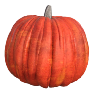 fresh pumpkin isolated png