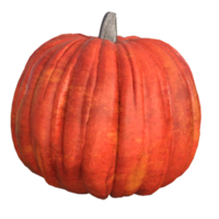 fresco zucca isolato png