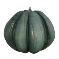 fresh pumpkin isolated png