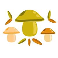 Vector composition of mushrooms and leaves in bright colors