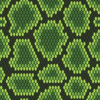 Green Snake Skin Seamless Pattern Background vector