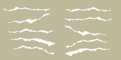 Design of white color torn paper strip vector