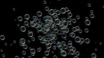 Soap bubbles parry on a black background video