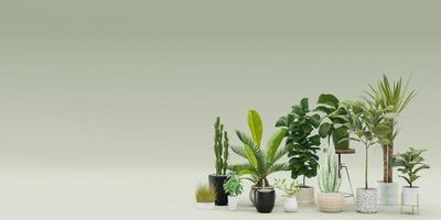 banner con plantas caseras y espacio para copiar el texto o el logotipo de su anuncio. tienda de plantas, detalles interiores verdes. venta de plantas en maceta. plantilla con espacio libre y vacío. representación 3d foto