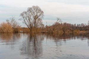 Flooded Meadows in Spring photo