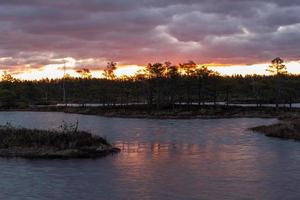 Spring in the swamp lakes photo