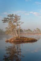 Spring in the swamp lakes photo