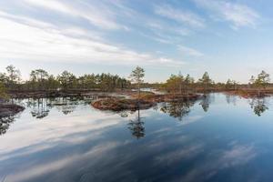 Spring in the swamp lakes photo