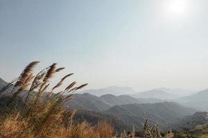 landscape forest in atmosphere cold weather the winter mist covered the mountain. photo