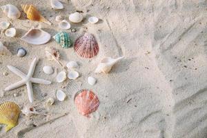 concepto de horario de verano con conchas marinas y estrellas de mar en el fondo blanco de la arena de la playa. espacio libre para la vista superior de la decoración.