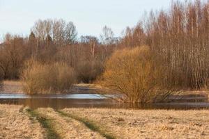 Flooded Meadows in Spring photo