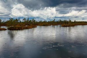 Spring in the swamp lakes photo