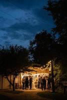 atmospheric warm light bulbs wrapped photo