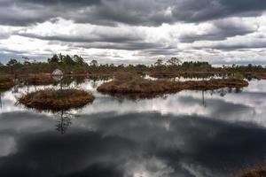 Spring in the swamp lakes photo