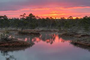 Spring in the swamp lakes photo