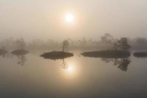 Spring in the swamp lakes photo