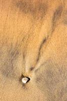 Patterns in The Beach Sand photo