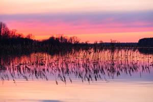 Flooded Meadows in Spring photo