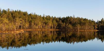 Spring in the swamp lakes photo