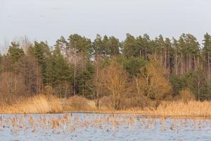 Flooded Meadows in Spring photo