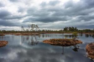 Spring in the swamp lakes photo