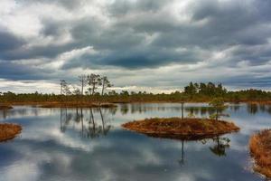 Spring in the swamp lakes photo