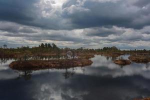 Spring in the swamp lakes photo