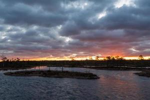 Spring in the swamp lakes photo