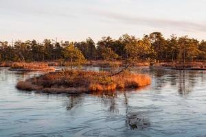 Spring in the swamp lakes photo