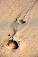 Patterns in The Beach Sand photo