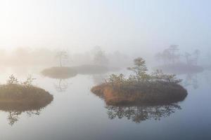 Spring in the swamp lakes photo