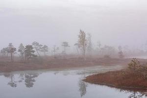 Spring in the swamp lakes photo