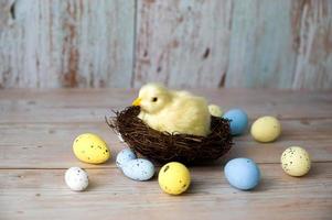 Easter greeting card with yellow chicken in the nest. Place for text photo